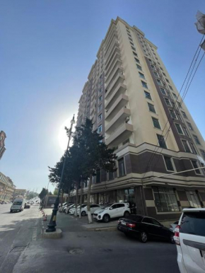 Baku badamdar